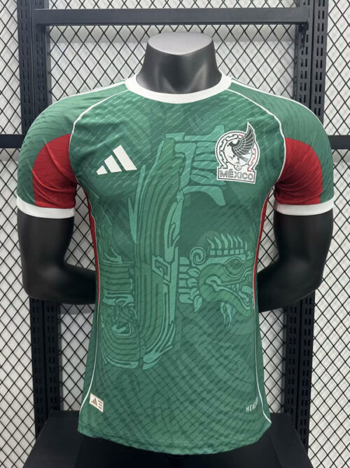 Maillot Mexique concept 2025