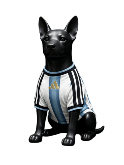 Argentine Coupe du Monde 2026 Maillot Domicile