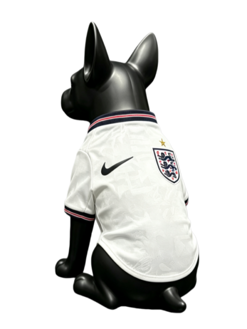 Angleterre Coupe du Monde 2026 Maillot Domicile